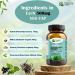 Twisty Herb- Livara Herbal Supplement for Liver Health and Detox 500mg 60 Veggie Capsules Vegan Ayurvedic-Naturopathic Dietary Supplement. - Buy Online on GoSupps.com