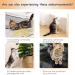 Cat Scratch Deterrent Spray Cat Training Spray Anti Scratch Repellent Spray Anti Cat Scratching Deterrent Protect Your Furnture Carpet and Plants 120ml - Buy Online on GoSupps.com