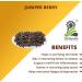 ORGANIZE AOZA Herbaveda Dried Juniper Berry 100g Imported - Buy Online on GoSupps.com