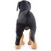 Dog Right Hind Leg Knee Brace Dog Braces for Back Legs Super Supportive for Heals Prevents Injuries Sprains Protects Wounds. A X-Small - Buy Online on GoSupps.com