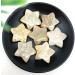 1 Piece Natural Coral Ammonite Star Crystal Stone Suitable for Home Chakra Reiki Balancing - Buy Online on GoSupps.com
