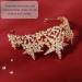 Lurrose Rhinestone Crown Tiara Headband for Brides & Girls - Golden Bridal Star Crown for Wedding Birthday Party & Prom - Buy Online on GoSupps.com
