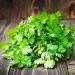 Luojuny Coriander Seeds, 300pcs Coriander Seeds Garden Bonsai Nutritious Vegetable Flavor Cooking Plant Coriander Seeds