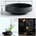Eggone Japanese Ikebana Vase Kit with Flower Frog and Needle Straightening Tool - Buy Online on GoSupps.com