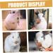 NOLITOY 12pcs Pet Rabbit Snacks Chinchilla Treats Teeth Grinding Sticks Pet Chewing Playthings Animal Petal - Buy Online on GoSupps.com