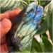 Collection Beautiful Natural Labrador Stone Rough Stone Natural gem Reiki Healing (Size : 80-90g) - Buy Online on GoSupps.com