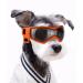 Namsan dog glasses anti-UV waterproof windproof. Dogs sunglasses fashion dogs protective glasses Suitable for small and medium dog (orange) medium orange