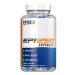 Epicatechin Extract Capsules | EPI 250mg | 180 Pill Count | Supports Lean Muscle Growth Nitric Oxide Booster & Myostatin Inhibitor 180 Count (Pack of 1)