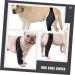 GANAZONO Dog Hindleg Cover Paw Butter Balm for Dogs Comfy Brace Dog Rear Leg Splint Care Elbow Pads S As Shown - Buy Online on GoSupps.com