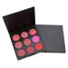 Vodisa 9 Color Natural Blusher Palette - Professional Mineral Makeup Blush Kit - Buy Online on GoSupps.com