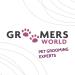 Groomers World - Firm Flexi Slicker Brush - Suitable for Poodle Doodle Bichon Dog Breeds - Small - Buy Online on GoSupps.com