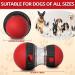 CAROZEN Interactive Dog Feeder Toy Dog Enrichment Toy Slow Feeder Toy for Dog Mental Stimulation Treat Puzzle for Dog Entertainment Food Dispenser Dog Toy - Buy Online on GoSupps.com