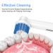 WOJASAL 12 Pack Oral B Braun Compatible Precision Clean Refill Heads - Buy Online on GoSupps.com