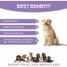 Petsy Skin & Coat Supplement for Dogs - Vitamin C, E, Zinc, Biotin, Omega 3 - Supports Healthy & Shiny Coat, Rejuvenates Skin, Natural Relief for Itchy Skin - Daily Use - Buy Online on GoSupps.com