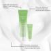 Facial Hair Removal Cream - Moisturizing 2 in 1 with Spatula - Facial Hair Removal Cream Kit for Daily Use Holidays Weddings Summer Travel Beach Brides Women Men - Buy Online on GoSupps.com