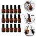 Minkissy 15Pcs 10ml Empty Nail Polish Bottles - Refillable Glass Containers with Brush Cap for Nail Art & DIY Salon - Buy Online on GoSupps.com