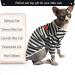 Breathable Summer T-Shirts for Hairless Cats | Soft Cotton Clothing for Sphynx Cornish Rex & Devon Rex | XXL Pet Pajama Jumpsuit in Blue - Buy Online on GoSupps.com