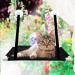 Cat Window Perch - Durable Sunny Seat Hammock for Climbing, Space Saving Design - Black Cat Accessories - Buy Online on GoSupps.com