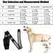 Dog Knee Brace - Professional Dog Front and Rear Leg Protectors Dog Leg Sleeves for Dog Front or Rear Leg Ligament Sprains (S) - Buy Online on GoSupps.com