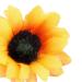 Bridal Wedding Sunflower Hair Pins Clips - 10Pcs Yellow Set for Bridesmaids & Proms - Buy Online on GoSupps.com