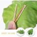 Beaupretty Fake Lettuce Leaves Artificial Vegetables Lettuces Alligator Hair Clip Vegetable Hairpin Hair Clip Cute Hair Accessories Sweet Barrette Creative Party Headdress for Women Girls - Buy Online on GoSupps.com