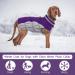 Kuoser Waterproof Dog Coat - Cold Weather Jacket for Small & Medium Dogs | Fleece Lined Reflective Vest | Cozy XS Purple Pet Clothing - Buy Online on GoSupps.com