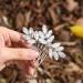 Earent Bride Wedding Hair Comb Crystal Hair Piece Rhinestone Hair Accessories Bridal Side Combs for Women and Girls