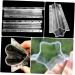 Toddmomy 2pcs Shaped Growth Mold Child Stereotypes Plastic Plant - Buy Online on GoSupps.com