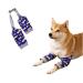 BAR BEAR Surgical recovery sleeve for dogs on the front legs prevents licking of wounds elbow bandages protection hip protection recovery sleeves (blue XXL) XXL: Recommended for 79-93LB blue