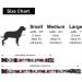 Suredoo Adjustable Dog Collar - Soft & Comfortable Nylon for Small & Medium Dogs | Floral Pink & Blue 25-40 cm Neck Size - Buy Online on GoSupps.com