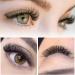 4D-C-0.10-8-15 Mix Pre Made Fan Eyelash Extensions - Russian Volume Lashes 0.07 0.10 Pre Fanned Long Stem C D Curl - 8-15 Mix & CG - Premade Fans Eyelash Extension - Buy Online on GoSupps.com