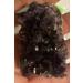 90 Grams Amethyst Quartz Specimen Uruguay Raw Stones and Minerals Natural Luster