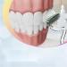 Yanobia S-Shaped Toothbrush | Scientific Vertical Brush for Deep Cleaning & Gum Care | Adult Pink Rose - Buy Online on GoSupps.com