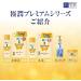 (Set of 2) Hada Labo Gokujun Premium Hyaluronic Acid 170ml - Hydrating Skin Care Serum - Buy Online on GoSupps.com