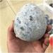 Very Beautiful Natural Blue cave Crystal Cluster Halo Quartz Crystal Cluster Specimen Stone HOMEZHOU (Size : 800-900g) - Buy Online on GoSupps.com