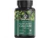 PlantFusion Vegan Planet-Based Calcium 1000 mg 90 Tablets