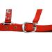 Shop Start Unicorn36 Halter for Thoroughbred Horses - Adjustable Stable Halter & Warm Blood Neoprene in Red/White | Best International Shipping - Buy Online on GoSupps.com