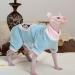 Rayminsino Sphinx Litter Clothing for Pets - Highly Elastic Four-Legged Kitten Apparel in SS Blue | Ideal for Hairless Cats | International Shipping - Buy Online on GoSupps.com