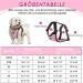 Eyin Dog Harness with Safety Belt for Car - Adjustable & Breathable - Pink XS - 2 Carabiner Hooks & Seat Belt Buckle - Buy Online on GoSupps.com