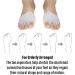 Silicone Toe Spreader Set - Bunion & Hammer Toe Correction Gel Separator for Pain Relief - 4 Pairs - Buy Online on GoSupps.com