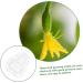 Happyyami Gardening Tool 6 Pcs Vegetable Mold Fruits Shaping Planting Small Mold Shaper Multifunction 9x8cmx2pcs Transparentx2pcs - Buy Online on GoSupps.com