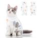 SUNFURA Cat Recovery Suit, Kitten Surgical Full Bodysuit for Abdominal Wound Protector Anti Licking After Surgery, Professional Bandages Cone E-Collar Alternative for Small Male & Female Pets S Cat