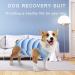 Newsbirds Dog Surgery Recovery Suit for Small Dogs - XL Blue | Post-Op Puppy Wound Protection - Buy Online on GoSupps.com
