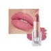 Matte Lipsticks for Women Long Lasting Waterproof Moisturizer Pink Lipstick Non Stick Cup Velvet Lipstick Not Fade Matte Lip Gloss Tinted Lip Balm for Girls & Women(#604 Dolce Vita)