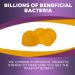 Nature's Nutrition Daily Probiotic Gummies - Extra Strength 5 Billion CFU for Digestive Health & Immune Support - 60 Gummies, Natural Orange Flavor - Gluten Free & Non-GMO - Buy Online on GoSupps.com