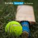 ACCURATE Durable Sport Play Tennis Cricket Dog Toy Ball with Mesh Carrying Bag Sturdy & Durable Great For Lessons Practice Throwing Machines Adults Children Exercise Pets 3 PK - Buy Online on GoSupps.com