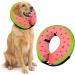 Ducomi XS Watermelon Inflatable Hinges for Dogs & Cats | Post-Operation Relaxation | Freedom of Movement & Scratch Protection - Buy Online on GoSupps.com
