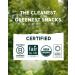 ALTER ECO Superdark Crisp Mint Chocolate Bar 90% 12 Pack brown - Buy Online on GoSupps.com