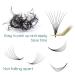 1000 Pcs 8D-17mm Mixed Premade Fans Eyelash Extensions - Thin Base, Pre Made Fans, Loose Fans - Shop Now! - Buy Online on GoSupps.com