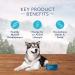 Blue Buffalo Wilderness High Protein Grain Free Natural Adult Dry Dog Food Chicken 2kg bag - Small Bag kibble Chicken - Small Bag High Protein Grain Free - Buy Online on GoSupps.com